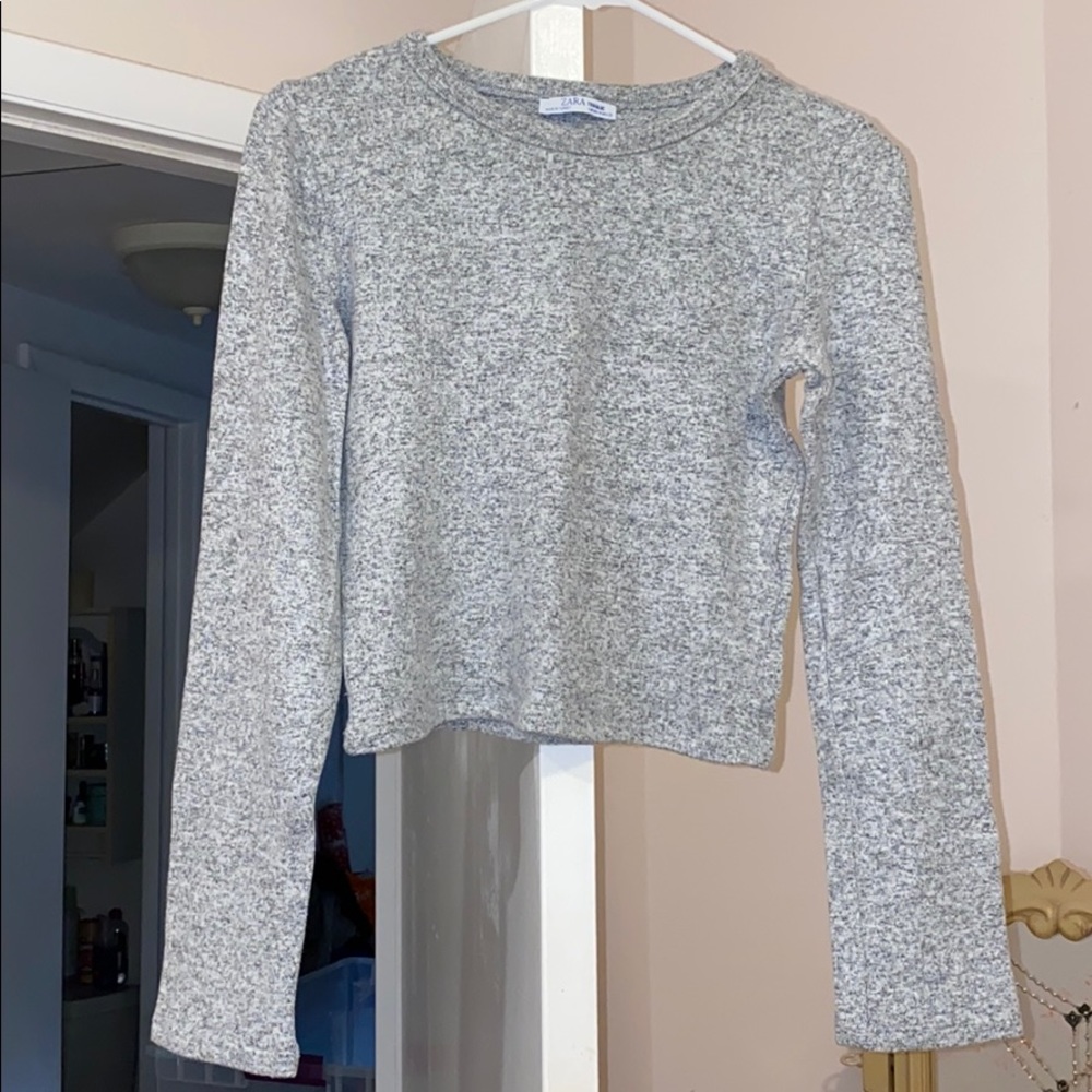 Gray, Zara Crop Top